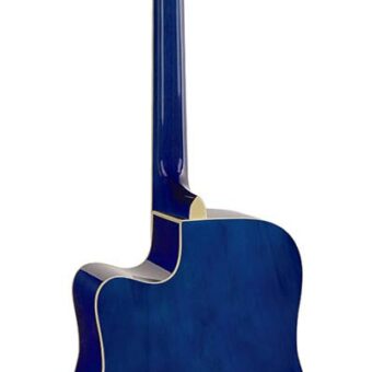 Richwood RD-12-CEBS akoestische gitaar