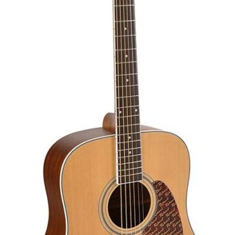 Richwood RD-17C akoestische gitaar