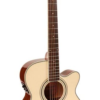 Richwood RG-17-CE akoestische gitaar
