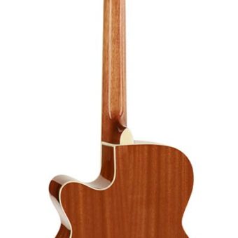 Richwood RG-17-CE akoestische gitaar