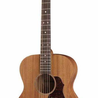 Richwood A-50-E handgemaakte auditorium OOO gitaar