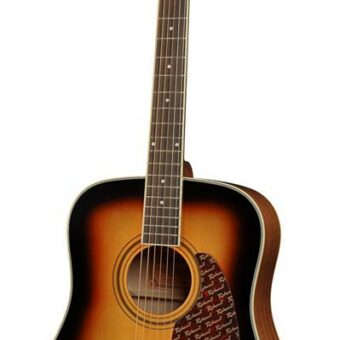 Richwood RD-16-SB akoestische gitaar
