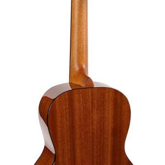 Richwood P-40 handgemaakte parlor gitaar