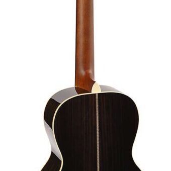 Richwood P-65-VA handgemaakte parlor gitaar