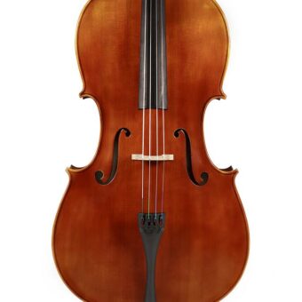 Rudolph RC-1012 cello