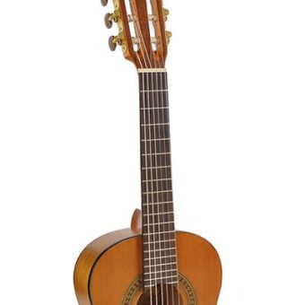 Salvador Cortez CC-06-PA klassieke gitaar