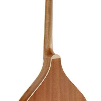 Richwood RIMA-40 Irish mandola. solid spruce top