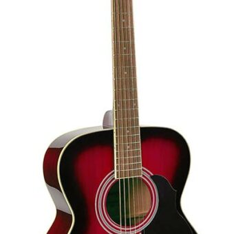 Richwood RA-12-RS akoestische gitaar