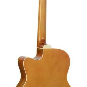 Richwood RA-12-CESB akoestische gitaar