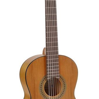 Salvador Cortez CC-06-SN klassieke gitaar