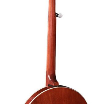 Richwood RMB-905-A archtop bluegrass banjo 5-snarig