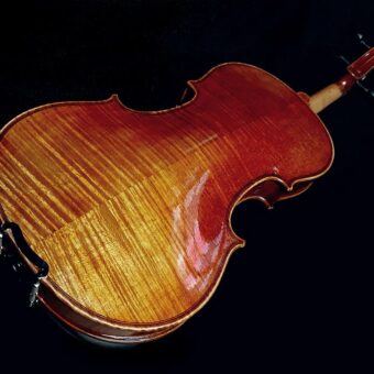 Rudolph RV-1544 viool 4/4