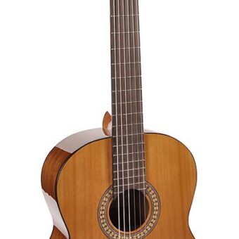 Salvador Cortez CC-22 klassieke gitaar
