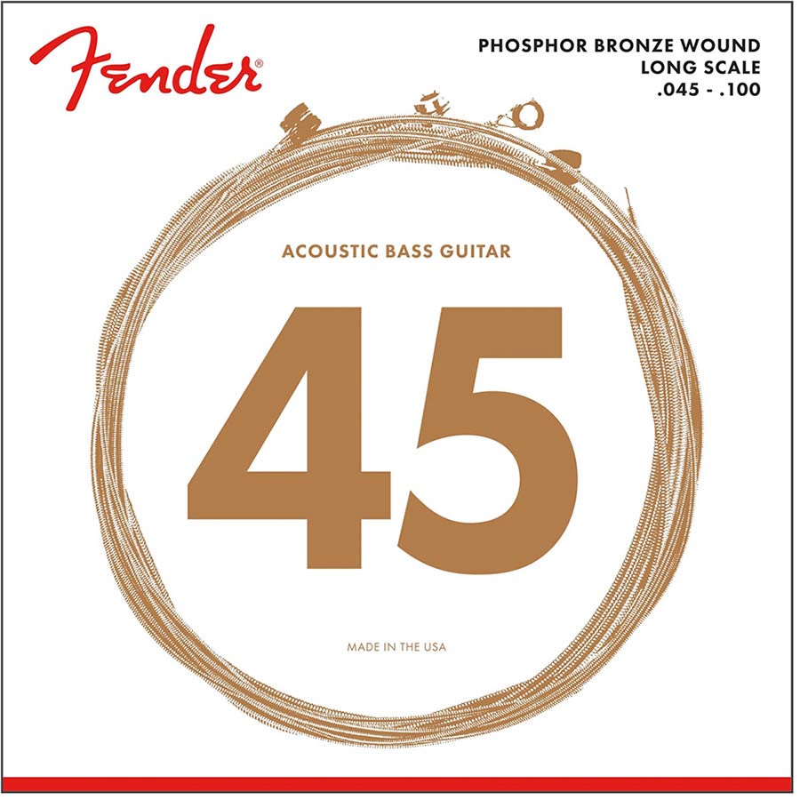 Fender F-8060 snarenset akoestische basgitaar