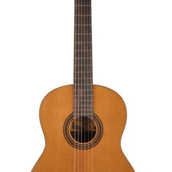Salvador Cortez CC-15 klassieke gitaar