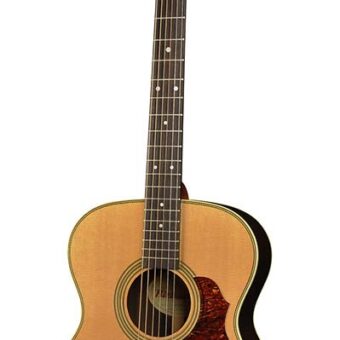 Richwood A-65-VA handgemaakte auditorium OOO gitaar