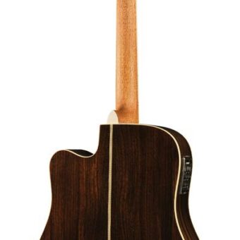 Richwood D-70-CEVA handgemaakte dreadnought gitaar