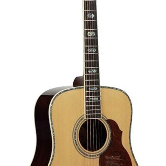 Richwood D-270-VA custom shop dreadnought