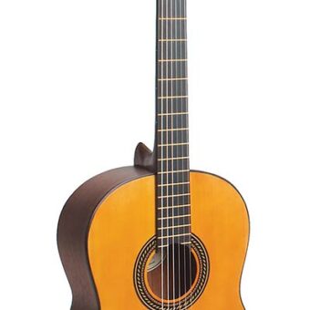 Valencia VC204 klassieke gitaar 4/4