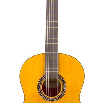 Valencia VC204H klassieke gitaar 4/4 hybride hals