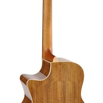 Richwood SWG-130-CE handgemaakte gitaar “Songwriter O”