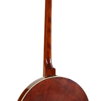 Richwood RMB-604 tenor banjo 4-snarig