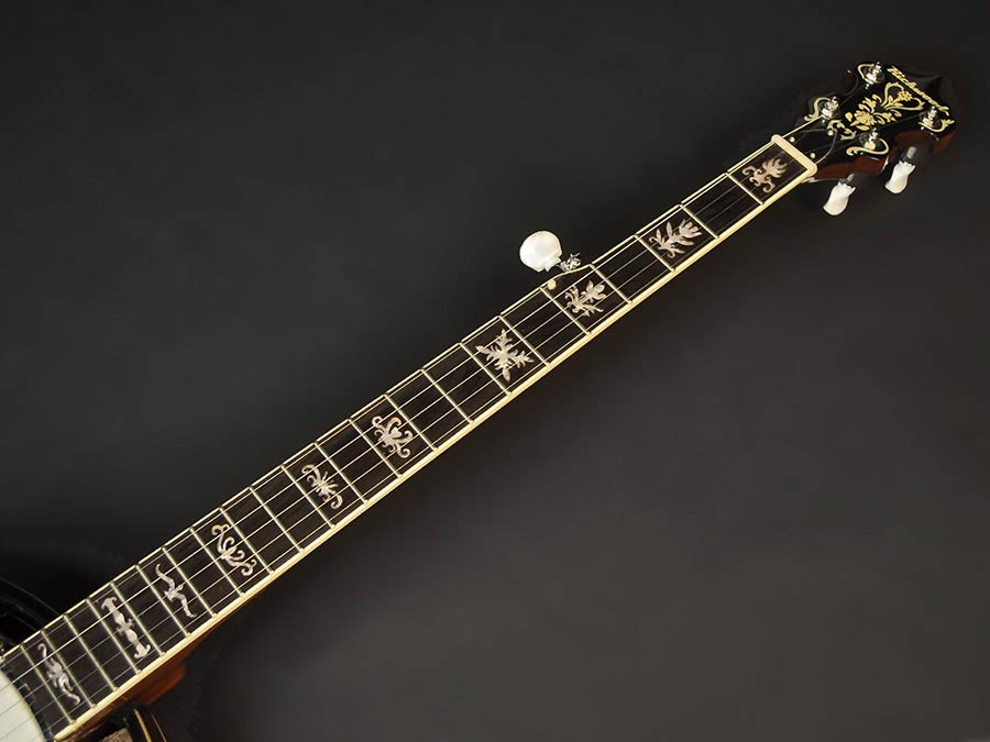 Richwood RMB-905 bluegrass banjo - Afbeelding 11