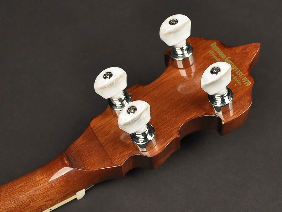 Richwood RMB-905 bluegrass banjo - Afbeelding 5