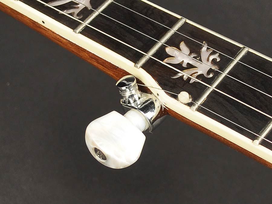 Richwood RMB-905 bluegrass banjo - Afbeelding 6