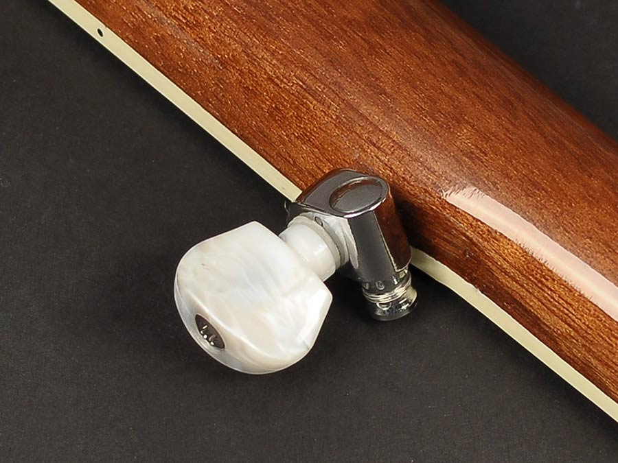 Richwood RMB-905 bluegrass banjo - Afbeelding 7