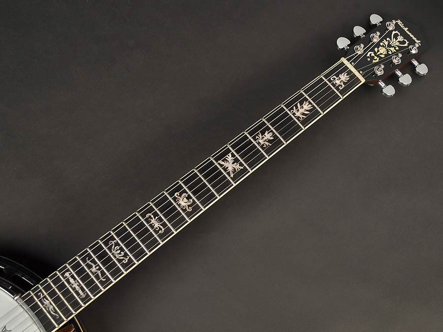 Richwood RMB-906 gitaar banjo - Afbeelding 8