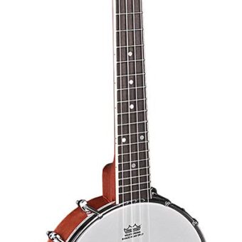 Richwood RMBU-404 ukelele banjo. open achterkant