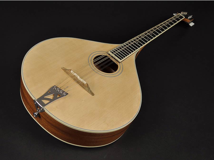 Richwood RIBZ-40 Irish bouzouki. solid spruce top - Afbeelding 3