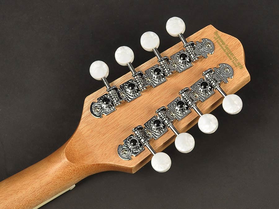 Richwood RIBZ-40 Irish bouzouki. solid spruce top - Afbeelding 5