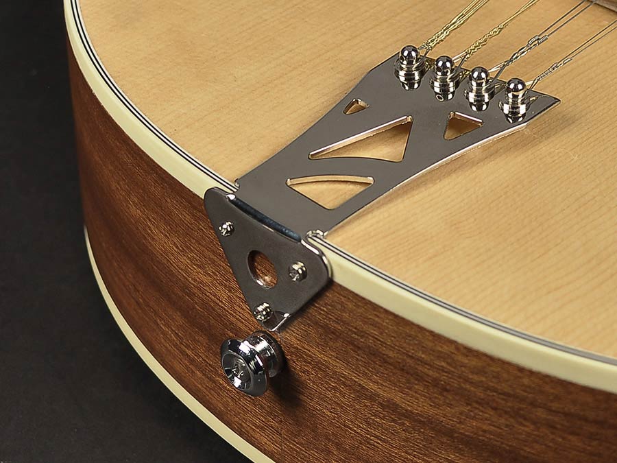 Richwood RIBZ-40 Irish bouzouki. solid spruce top - Afbeelding 6