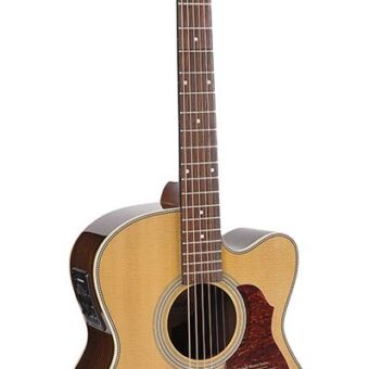 Richwood A-65-CEVA handgemaakte auditorium gitaar