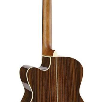 Richwood A-65-CEVA handgemaakte auditorium gitaar