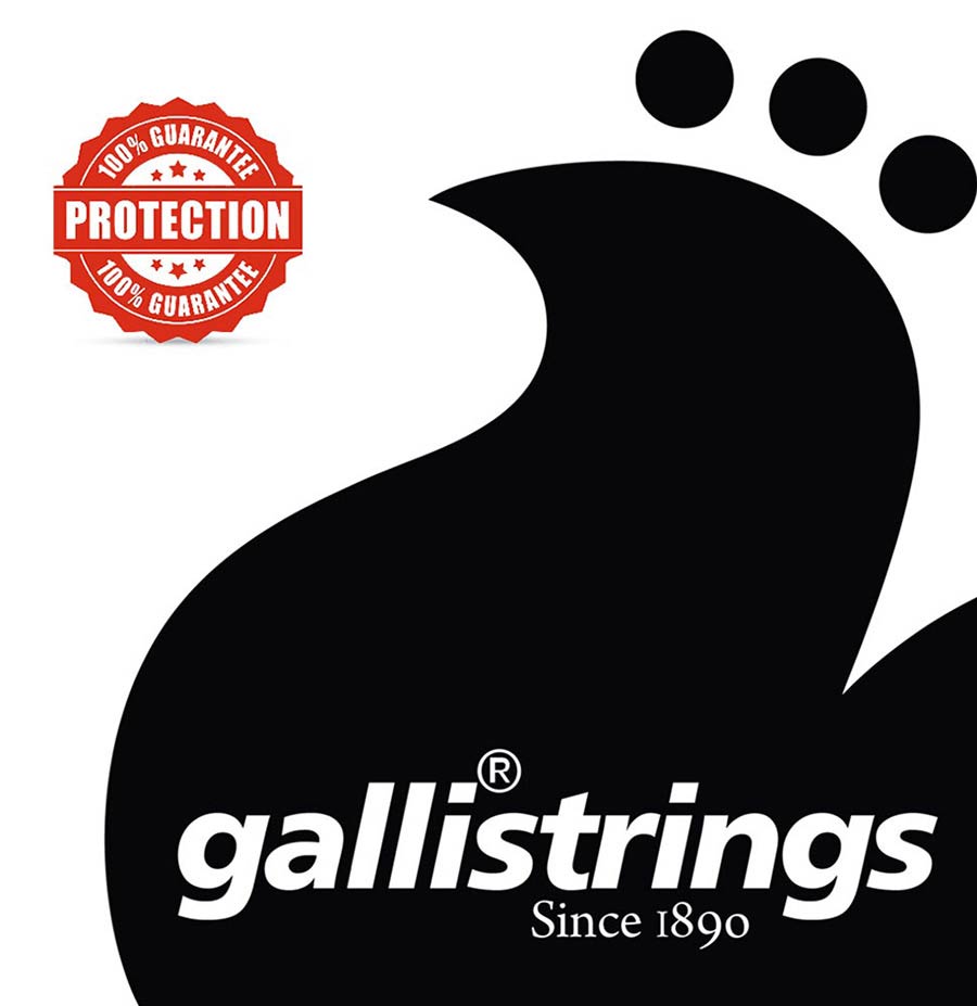 Galli AGP1256 snarenset voor akoestisch gitaar - Afbeelding 3
