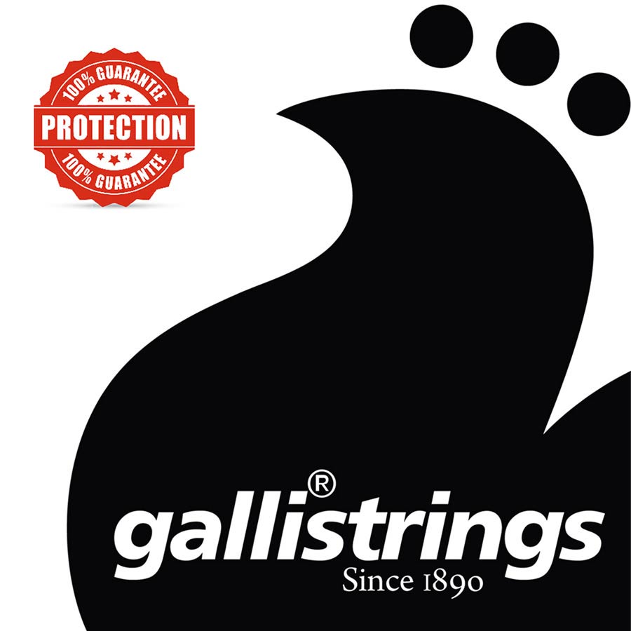 Galli LS1047 snarenset voor akoestisch gitaar - Afbeelding 3