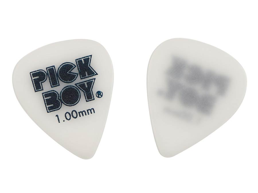 Pickboy GPSGWR-100