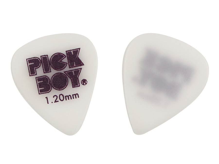 Pickboy GPSGWR-120