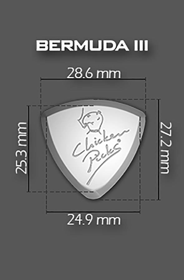 ChickenPicks 2-BE-27 - Afbeelding 3