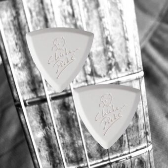 ChickenPicks 2-BEP-27