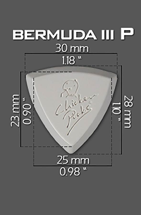 ChickenPicks 2-BEP-27 - Afbeelding 3