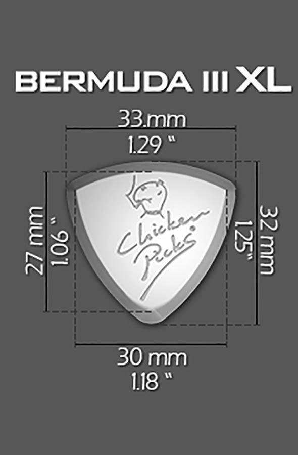 ChickenPicks 2-BEXL-21 - Afbeelding 3