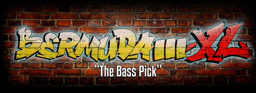ChickenPicks 2-BEXL-21 - Afbeelding 6