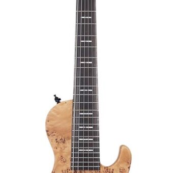 Sire F10 6/NTS