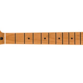 Fender 0990422920