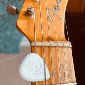 ChickenPicks 2-SH-24