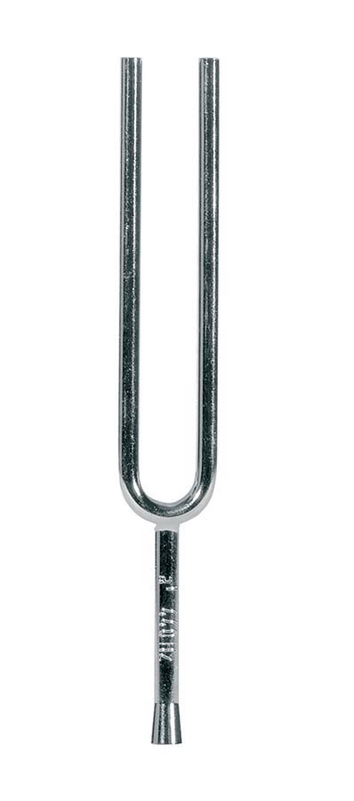 Wittner 924-AS-1 stemvork a#1-466.16 Hz.